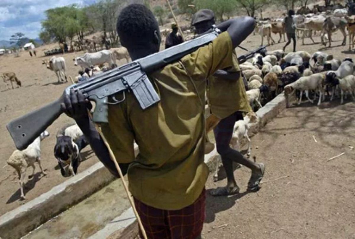 FULANI HERDSMEN IN OPEN GRACING WITH COWS.